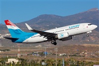 Luciano Fumero( freedom spotter)canary island spotting. Click to see full size photo