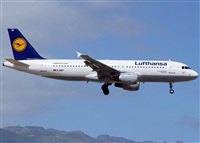 Francisco Garcia Romero - LPA. Spotter.. Click to see full size photo