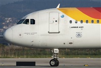 Miguel Alia - Noisy Spotters. Click to see full size photo