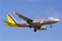 Miguel A. gueda Rguez.  (CANARY ISLANDS SPOTTING). Click to see full size photo