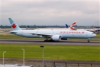 Javier de la Cruz - CANARY ISLANDS SPOTTING. Click to see full size photo