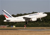 Miguel Alia - Noisy Spotters. Click to see full size photo