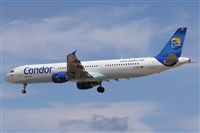 ©Alfonso Solís - Asociación Canary Islands Spotting. Click to see full size photo ©Alfonso Solís - Asociación Canary Islands Spotting. Click to see full size photo