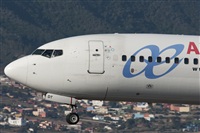 Gerardo A. Prez   Canary Islands Spotting. Click to see full size photo