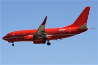 ©Alfonso Solís - Asociación Canary Islands Spotting. Click to see full size photo ©Alfonso Solís - Asociación Canary Islands Spotting. Click to see full size photo