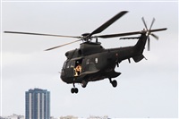 Adrin Alonso Lemes - Lanzarote Spotters. Click to see full size photo