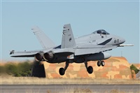 Rodrigo Carvalho - Noisy Spotters. Click to see full size photo