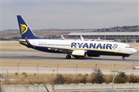 Alfonso Sols - Asociacin Canary Islands Spotting. Click to see full size photo