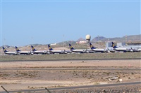 Miguel A. gueda Rguez.  (CANARY ISLANDS SPOTTING). Click to see full size photo