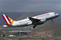 ©Alfonso Solís - Asociación Canary Islands Spotting. Click to see full size photo ©Alfonso Solís - Asociación Canary Islands Spotting. Click to see full size photo