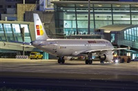 Javier de la Cruz - CANARY ISLANDS SPOTTING. Click to see full size photo