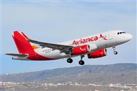 Miguel A. gueda Rguez.  (CANARY ISLANDS SPOTTING). Click to see full size photo