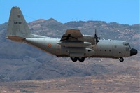 Bartolom Fernndez - Gran Canaria Spotters. Click to see full size photo
