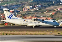 Alejandro Bethencourt (Canary Islands Spotting). Click to see full size photo