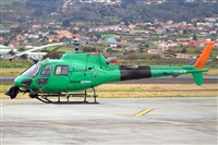 calco7. Click to see full size photo