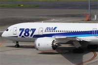 Rubn Gil - Noisy Spotters. Click to see full size photo
