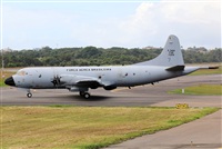 Rodrigo Carvalho - Noisy Spotters. Click to see full size photo
