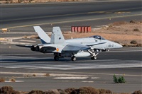 Adolfo Bento - Gran Canaria Spotters. Click to see full size photo
