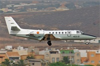 ©J. Victor Vega-Gran Canaria Spotters. Click to see full size photo ©J. Victor Vega-Gran Canaria Spotters. Click to see full size photo