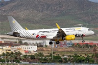 Bartolom Fernndez - Gran Canaria Spotters. Click to see full size photo