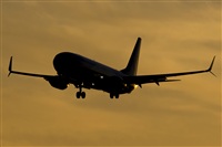Saimon J Rodriguez   -   Canary Islands Spotting. Click to see full size photo