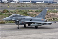 Bartolom Fernndez - Gran Canaria Spotters. Click to see full size photo