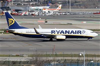 Alfonso Sols - Asociacin Canary Islands Spotting. Haz click para ampliar