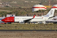 ©Alfonso Solís - Asociación Canary Islands Spotting. Click to see full size photo ©Alfonso Solís - Asociación Canary Islands Spotting. Click to see full size photo