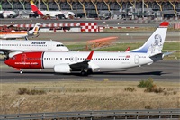 ©Alfonso Solís - Asociación Canary Islands Spotting. Click to see full size photo ©Alfonso Solís - Asociación Canary Islands Spotting. Click to see full size photo