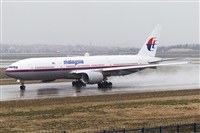 Rubn Gil - Noisy Spotters. Click to see full size photo