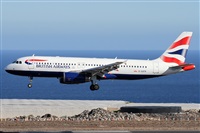 Alfonso Sols - Asociacin Canary Islands Spotting. Haz click para ampliar