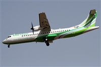 ©Alfonso Solís - Asociación Canary Islands Spotting. Click to see full size photo ©Alfonso Solís - Asociación Canary Islands Spotting. Click to see full size photo