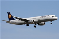 Alfonso Sols - Asociacin Canary Islands Spotting. Haz click para ampliar