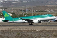 ©Alfonso Solís - Asociación Canary Islands Spotting. Click to see full size photo ©Alfonso Solís - Asociación Canary Islands Spotting. Click to see full size photo