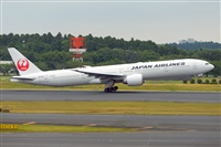 Miguel A. gueda Rguez.  (CANARY ISLANDS SPOTTING). Haz click para ampliar