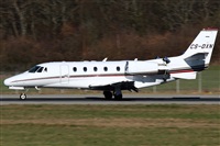 La Roche Spotters. Click to see full size photo