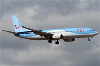 Alfonso Sols - Asociacin Canary Islands Spotting. Click to see full size photo