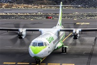 ©Daniel Santos Batista - Canary Islands Spotting. Click to see full size photo ©Daniel Santos Batista - Canary Islands Spotting. Click to see full size photo
