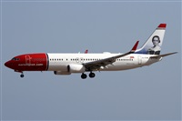 ©Alfonso Solís - Asociación Canary Islands Spotting. Click to see full size photo ©Alfonso Solís - Asociación Canary Islands Spotting. Click to see full size photo