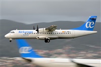 Miguel A. gueda Rguez.  (CANARY ISLANDS SPOTTING). Click to see full size photo