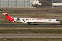 ©Alfonso Solís - Asociación Canary Islands Spotting. Click to see full size photo ©Alfonso Solís - Asociación Canary Islands Spotting. Click to see full size photo