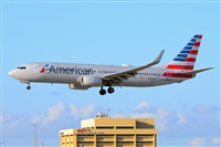 Miguel A. gueda Rguez.  (CANARY ISLANDS SPOTTING). Click to see full size photo