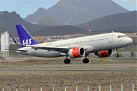 Miguel A. gueda Rguez.  (CANARY ISLANDS SPOTTING). Haz click para ampliar