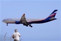 Miguel A. gueda Rguez.  (CANARY ISLANDS SPOTTING). Haz click para ampliar