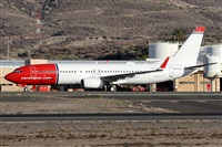 Alfonso Sols - Asociacin Canary Islands Spotting. Click to see full size photo
