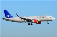 Miguel A. gueda Rguez.  (CANARY ISLANDS SPOTTING). Click to see full size photo