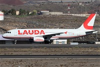 Alfonso Sols - Asociacin Canary Islands Spotting. Haz click para ampliar