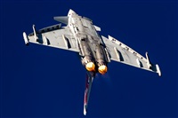 Tams. Click to see full size photo