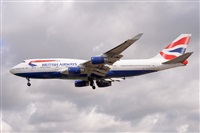 Miguel A. gueda Rguez.  (CANARY ISLANDS SPOTTING). Click to see full size photo