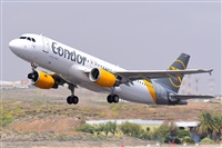 Miguel A. gueda Rguez.  (CANARY ISLANDS SPOTTING). Click to see full size photo